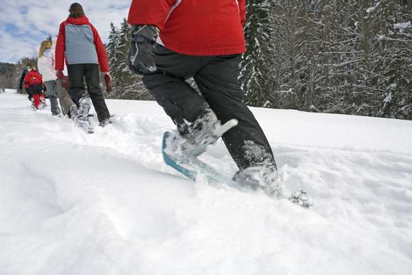 Snowshoe excursions