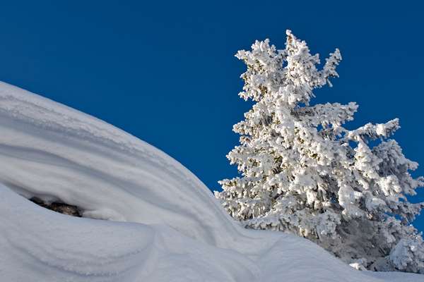 Un enneigement exceptionnel