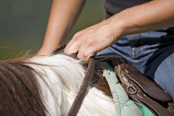 Horse riding