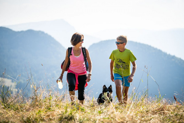 Randonner avec son chien