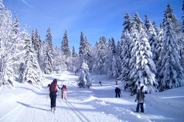 Cross country skiing