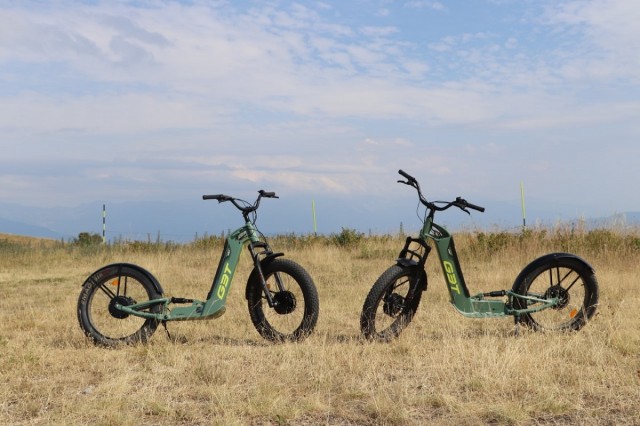 Trottinettes électriques
