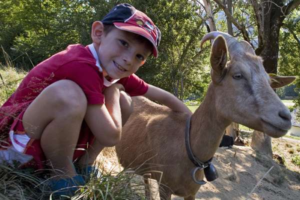 Visites de fermes