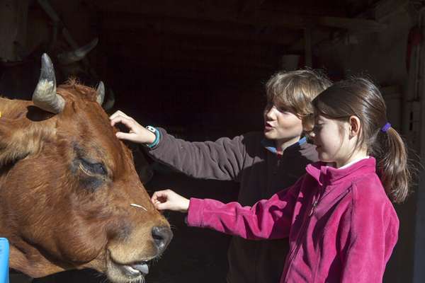 Farm visits