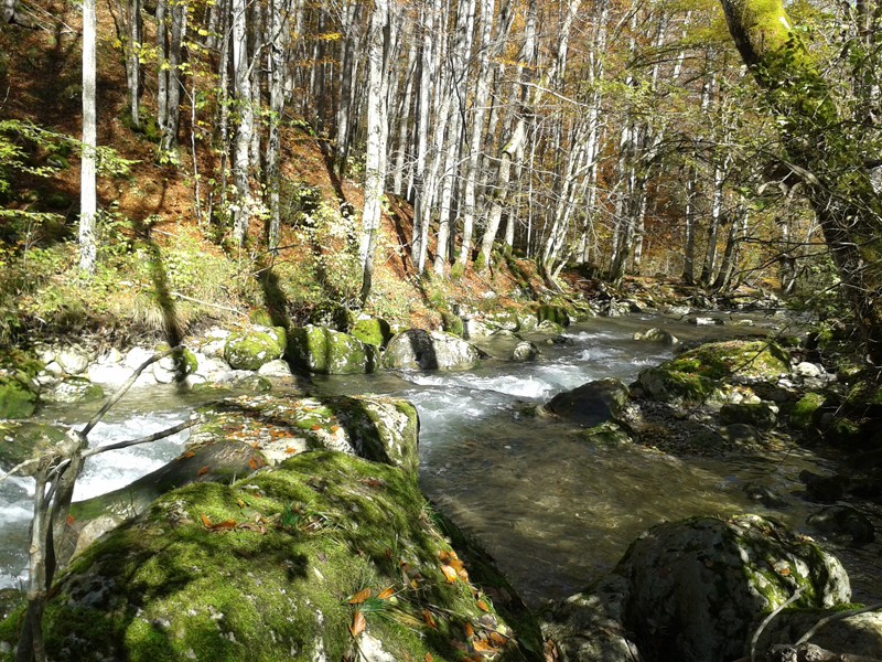 peche-dans-la-riviere-du-cheran-1087-1648