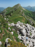Le Colombier de profil