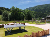 Table de ping-pong
