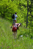 Sentier botanique des orchidées