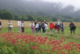 Visite guidée