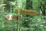 pierre_lescheraines_cascade_du_pissieu_79.jpg