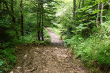 lindar_thuile_36.jpg