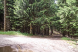 lindar_thuile_44.jpg
