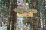 lindar_thuile_45.jpg