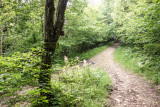 lindar_thuile_50.jpg