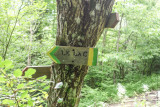 lindar_thuile_51.jpg