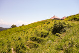 Parcours VTT AE - col de la Buffaz