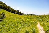 Parcours VTT AE - col de la Buffaz
