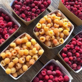 Framboises