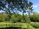 Le Jardin