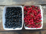 Petits fruits