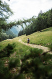 Forêt de Coutarse