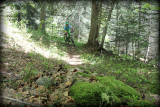 Piste VTT FFC rouge - La Féclaz