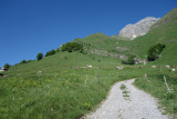 col de Chérel