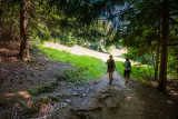 Forêt de Praz Gelaz