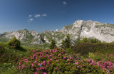 Chaurionde