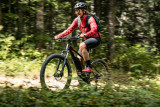 VTT