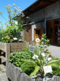 Musée de la nature
