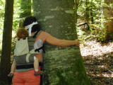 bain de forêt rencontre avec un arbre