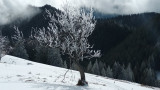 Paysage enneigé