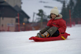 Luge