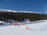 Le tapis vue d'ensemble