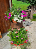 Fleurs