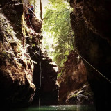 Tyrolienne