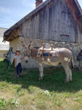 Ânes 3