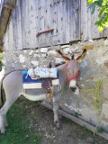 Ânes 8