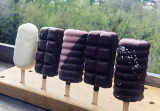 Esquibauges - glaces au lait du PNR des Bauges - LA CHOCOLATERIE DES BAUGES - FREDERIC PELLIER-CUIT