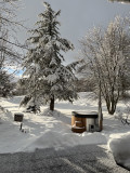 jardin en hiver