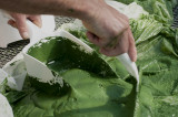 Spiruline des Bauges