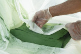Spiruline des Bauges