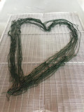 Spiruline des Bauges