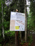 Information panels