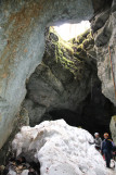 Tanne au Névé cave