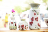 Vases de Tant que la terre tourne