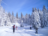 Domaine nordique ski de fond