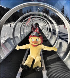 Mascotte Piou Piou