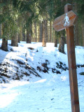 Balisage